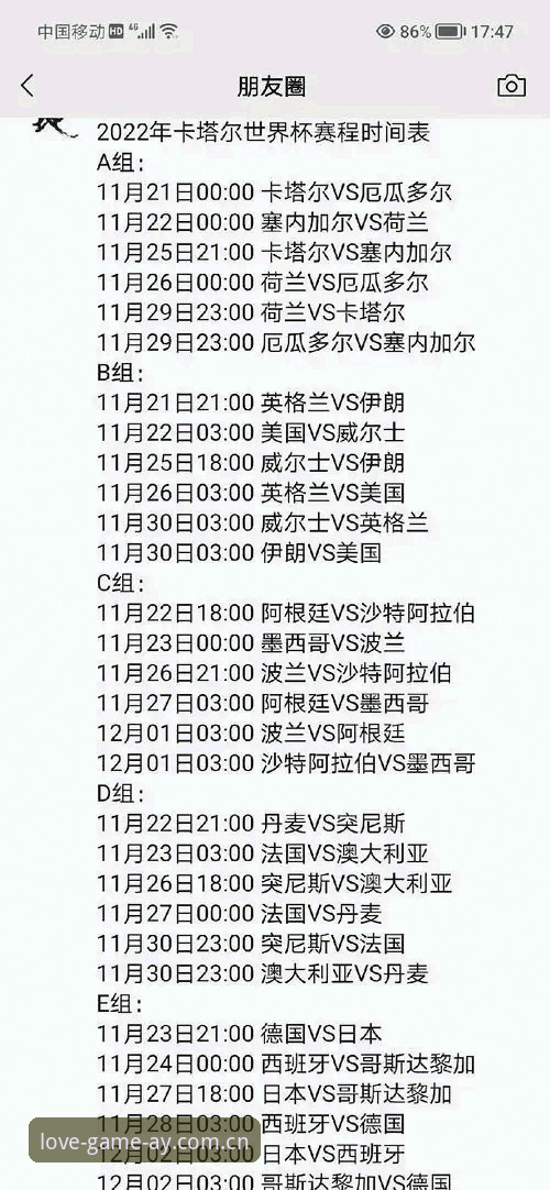 世界杯观赛必备知识：签证困境下的全球球迷生存指南
